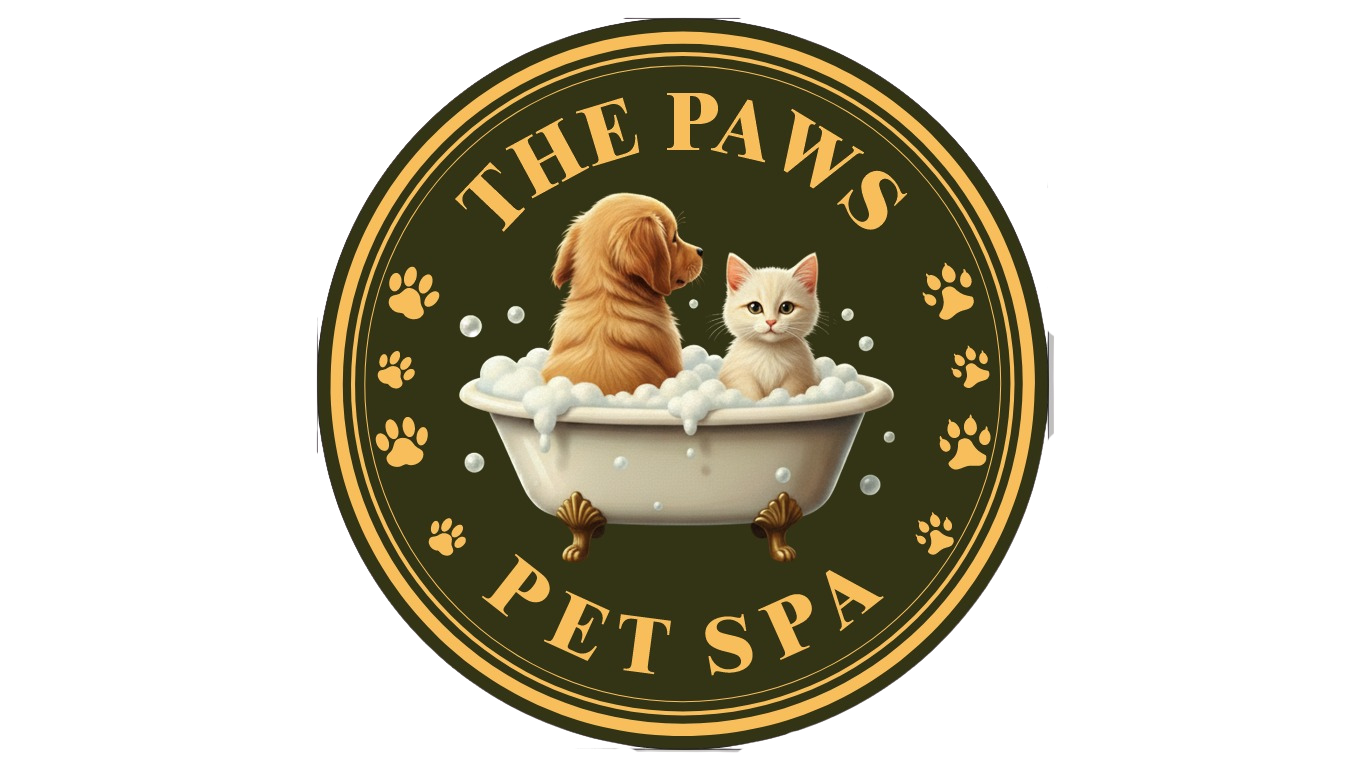 thepawspetspa.in